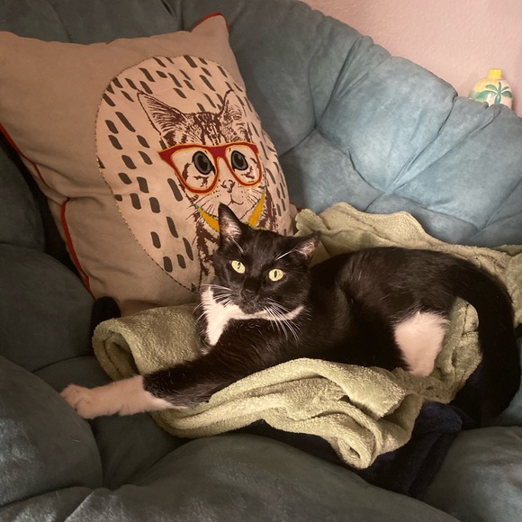 Meet your Posher - Picture 7 of 11